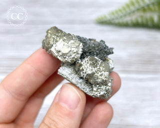 Pyrite - Panasqueira Mine #24