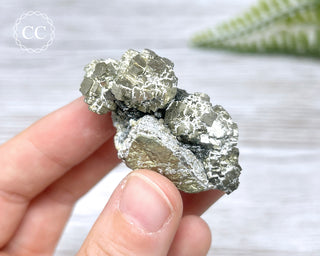 Pyrite - Panasqueira Mine #24