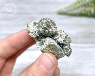 Pyrite - Panasqueira Mine #24