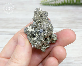 Pyrite Specimen - Morocco #24