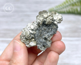 Pyrite - Panasqueira Mine #24