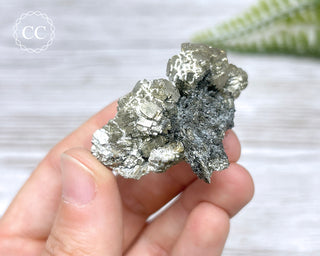 Pyrite - Panasqueira Mine #24