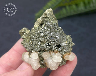 Pyrite & Calcite #2