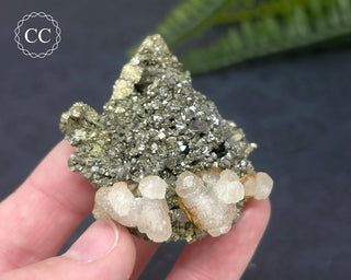 Pyrite & Calcite #2
