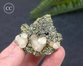Pyrite & Calcite #2