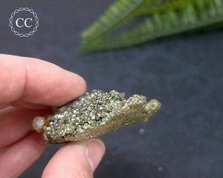 Pyrite & Calcite #2