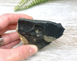 Pyrite in Shale Specimen #11