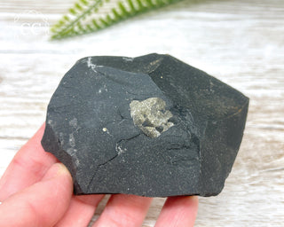 Pyrite in Shale Specimen #6