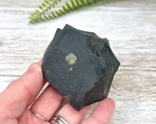 Pyrite in Shale Specimen #9