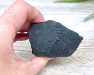Pyrite in Shale #1