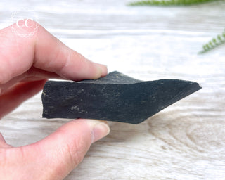Pyrite in Shale #2
