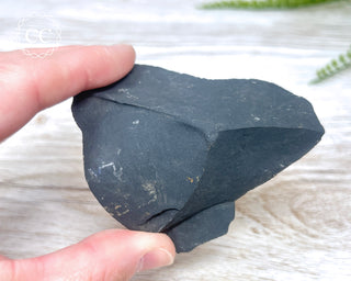 Pyrite in Shale #2
