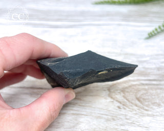Pyrite in Shale #2