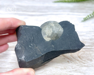 Pyrite in Shale #1