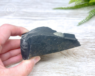 Pyrite in Shale #3