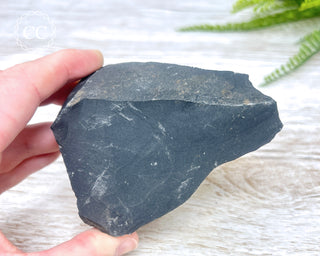 Pyrite in Shale #3