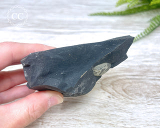 Pyrite in Shale #3