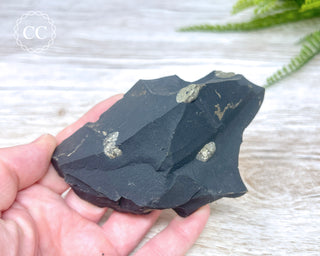 Pyrite in Shale #4