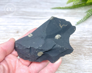 Pyrite in Shale #4