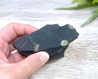 Pyrite in Shale #4