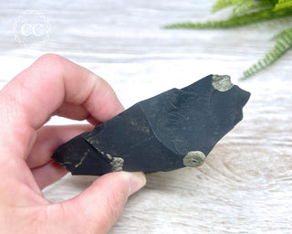 Pyrite in Shale #4