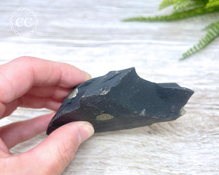 Pyrite in Shale #4