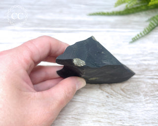 Pyrite in Shale #4