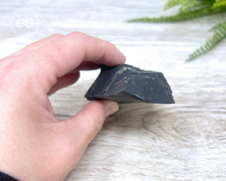 Pyrite in Shale #4
