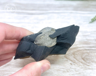 Pyrite in Shale #6