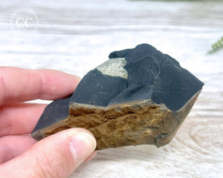 Pyrite in Shale #6