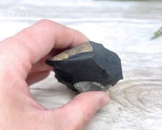 Pyrite in Shale #6
