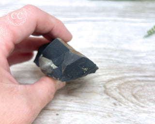 Pyrite in Shale #6