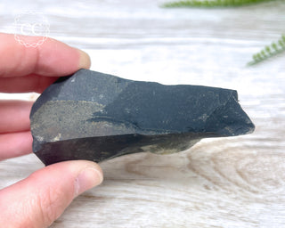 Pyrite in Shale #1