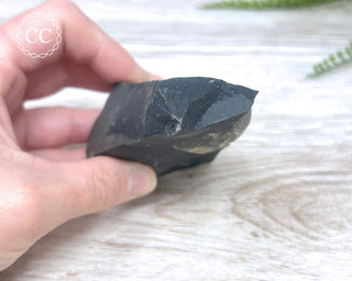 Pyrite in Shale #1