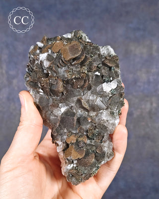 A hand holding a flattened 'petal' Calcite specimen with both Pyrite and Chalcopyrite from the Daye Mine, Hubei