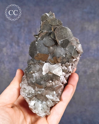 A hand holding a flattened 'petal' Calcite specimen with both Pyrite and Chalcopyrite from the Daye Mine, Hubei