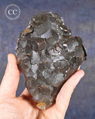 A hand holding a flattened 'petal' Calcite specimen with both Pyrite and Chalcopyrite from the Daye Mine, Hubei