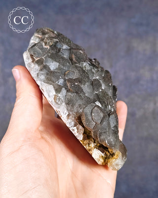 Calcite with Pyrite - Daye Mine, Hubei #4