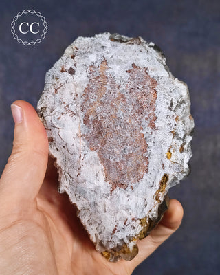 Calcite with Pyrite - Daye Mine, Hubei #4