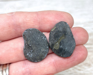 Pyrite Ammonite Pair #3