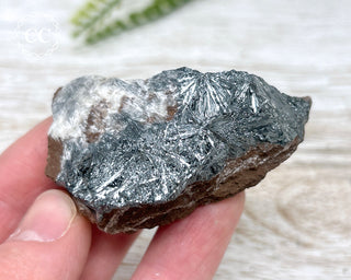 Pyrolusite Specimen #2