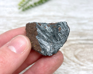 Pyrolusite Specimen #5