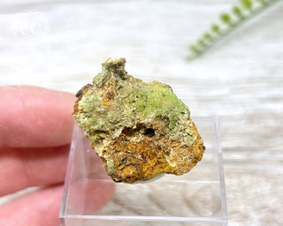 Pyromorphite Specimen #3