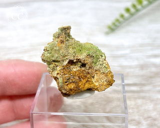 Pyromorphite Specimen #3