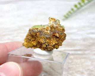 Pyromorphite Specimen #3