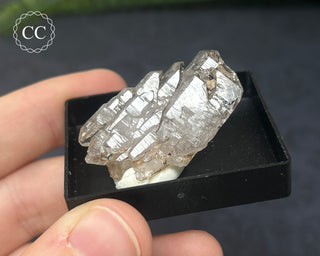 Quartz - Sardinia #1