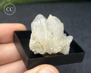 Quartz - Sardinia #5