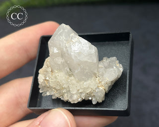 Quartz - Sardinia #5