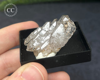 Quartz - Sardinia #1