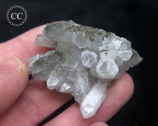 Quartz - Bulgaria #18